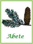 Abete