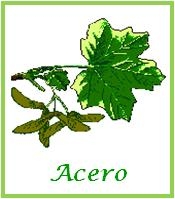 Acero